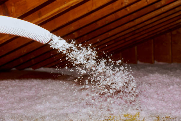 Best Attic Insulation Near Me  in Clinton, MO