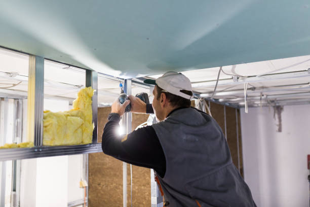 Best Insulation Replacement Services  in Clinton, MO