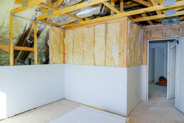 Best Commercial Insulation Contractor  in Clinton, MO