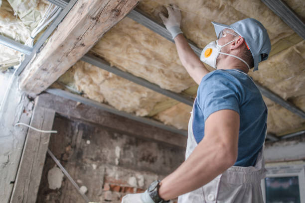Best Insulation Removal  in Clinton, MO