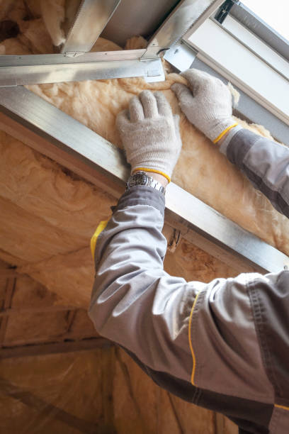Best Residential Insulation Services  in Clinton, MO