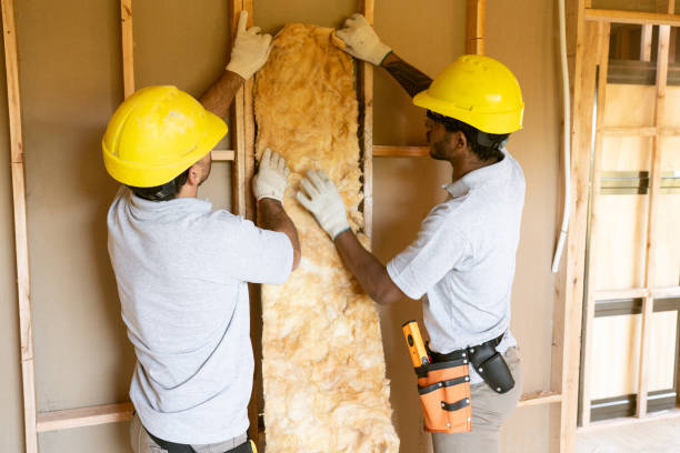Best Home Insulation Services  in Clinton, MO