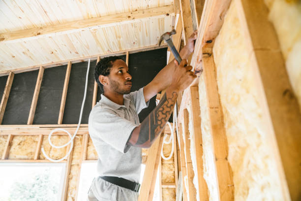 Best Insulation Contractor Near Me  in Clinton, MO
