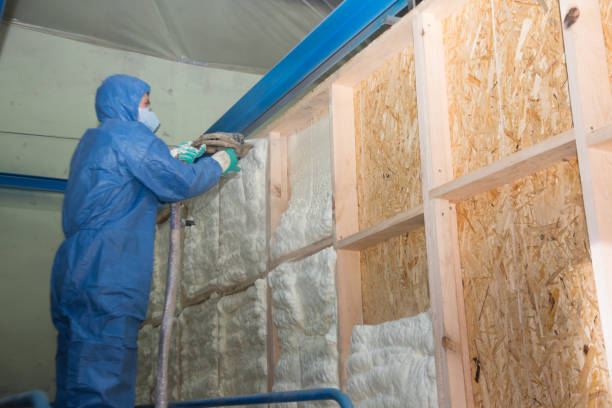 Best Blown-in Insulation  in Clinton, MO