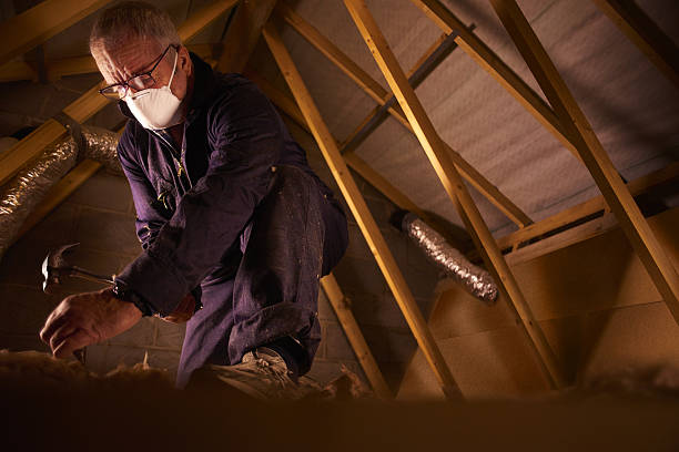 Best Insulation Contractors for Homes  in Clinton, MO