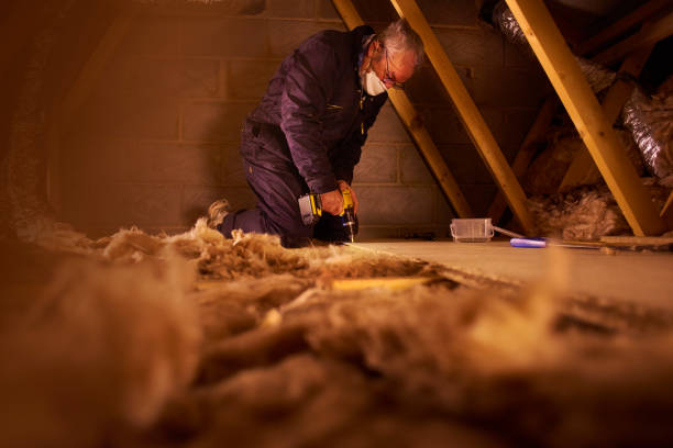 Best Crawl Space Insulation  in Clinton, MO