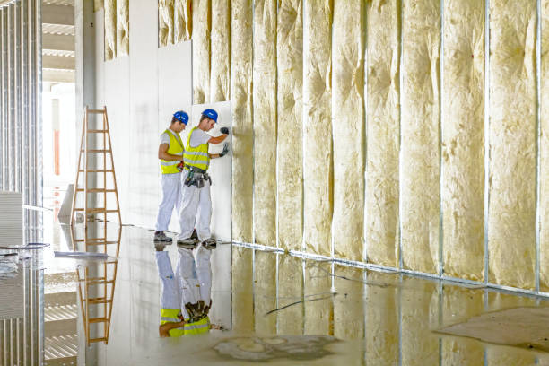 Best Spray Foam Insulation  in Clinton, MO